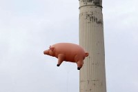 Pink Floyd: Algie на търг...? Pink Floyd: Algie на търг...?