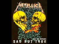 Metallica: Sad But True Metallica: Sad But True