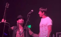 Dave Navarro и Anthony Kiedis: Walk On The Wild Side Dave Navarro и Anthony Kiedis: Walk On The Wild Side