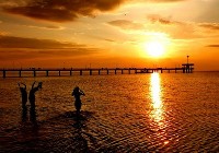 Джулая Бургас: ПРОГРАМАТА! Джулая Бургас: ПРОГРАМАТА!